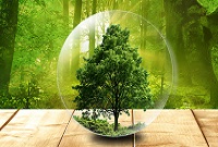 ENI|聚焦西部数谷 第五届云天大会“算领未来·共建绿色算力”论坛成功举办!