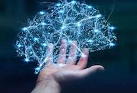 ENI|脑机接口技术又有突破性进展，马斯克合伙人研制大脑“第七层”