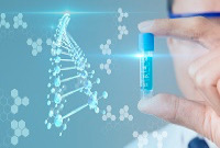 ENI|DNA人造细胞支架合成技术突破，对再生医学和药物输送研究具有重要意义